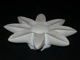 girasole (4).jpg